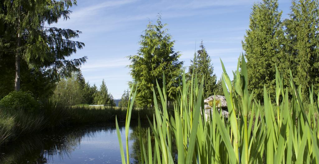 Cedar Park Resort Port McNeill Esterno foto